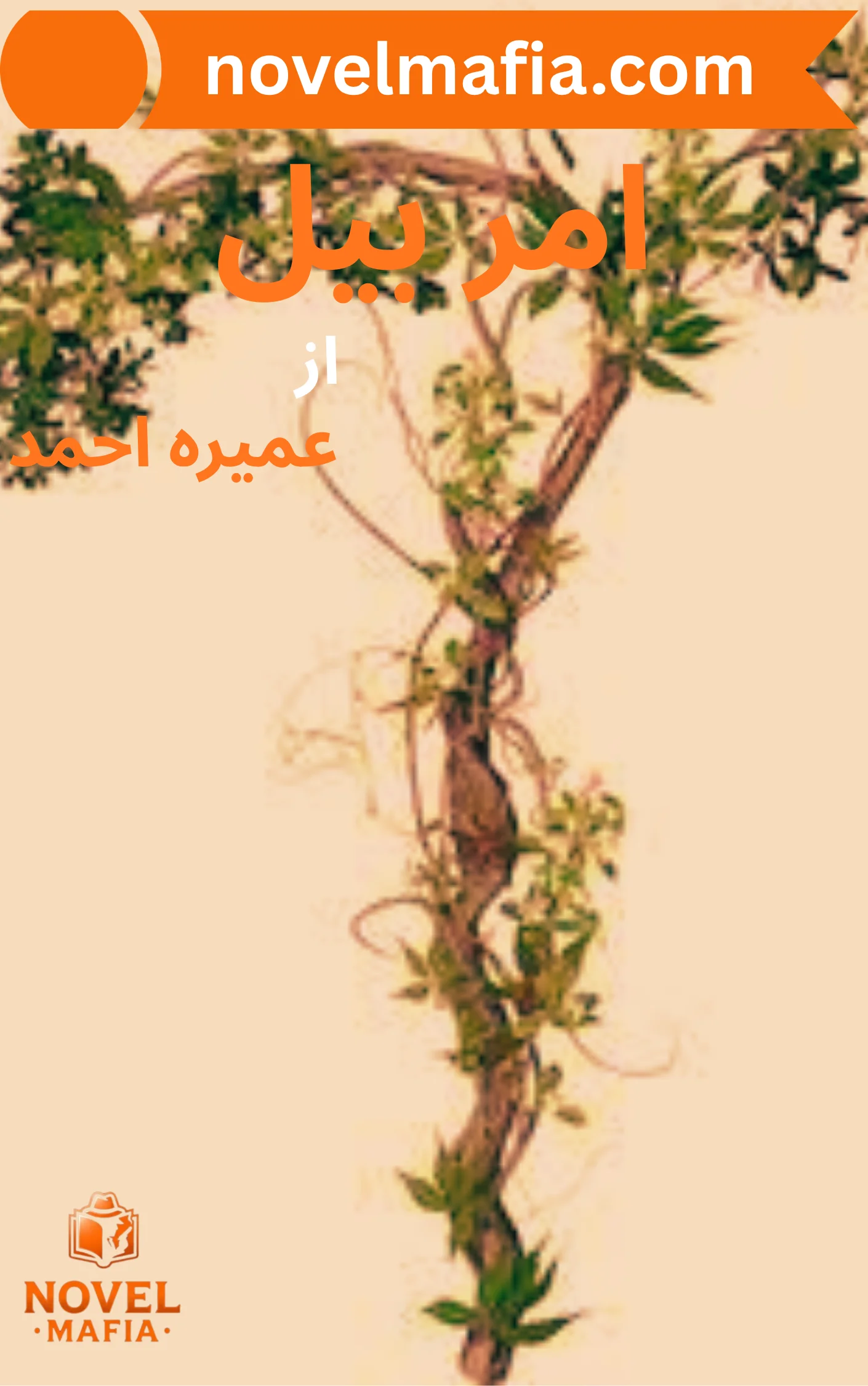 Amar Bail Novel By Umera Ahmed 