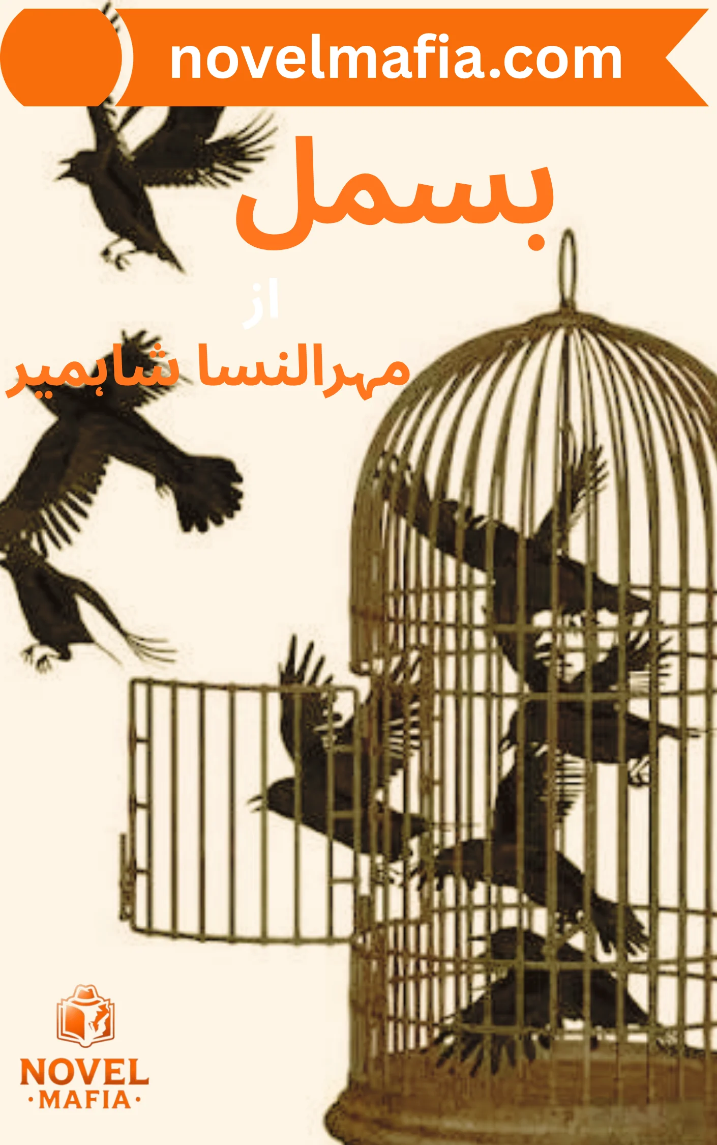 Bismil Novel By Mehrulnisa Shahmeer