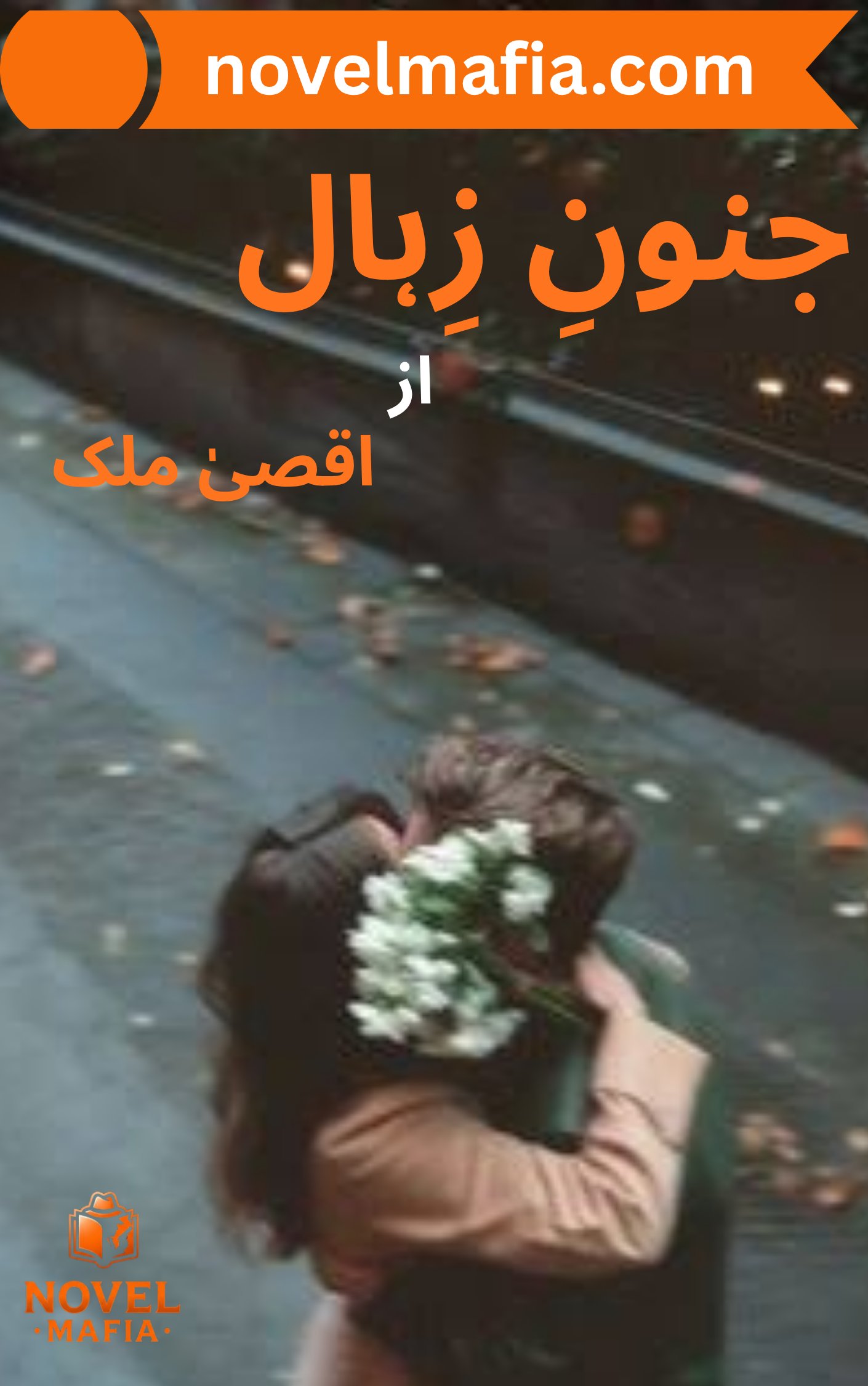 Junoon e Zihaal Novel By Aqsa Malik