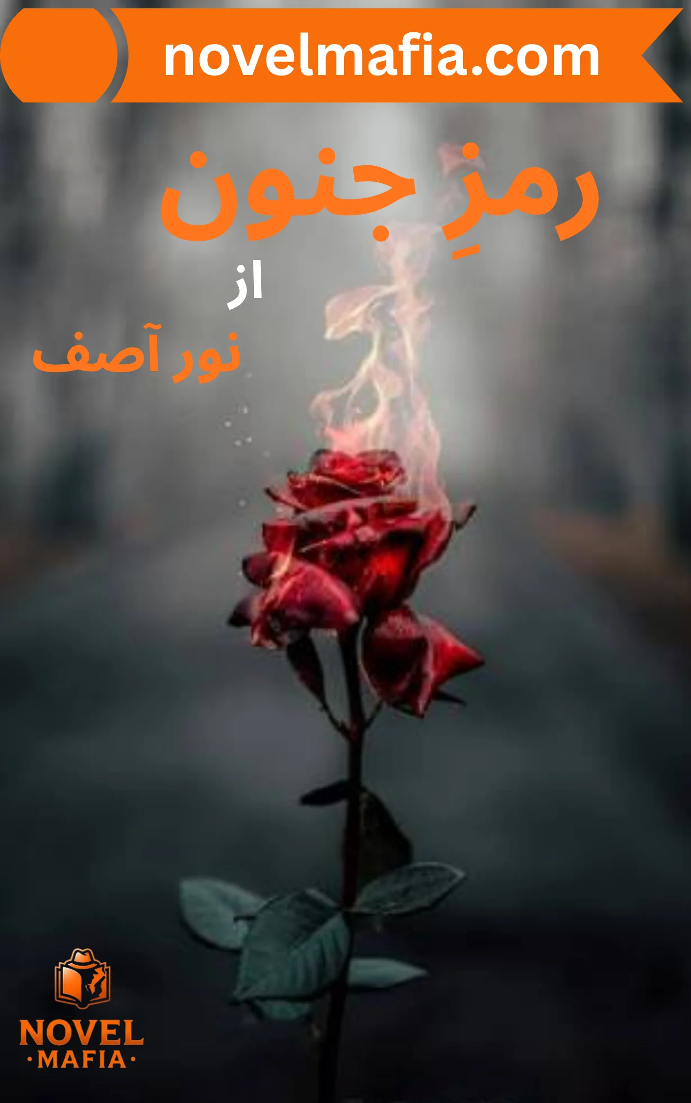 Ramz e Junoon Novel By Noor Asif