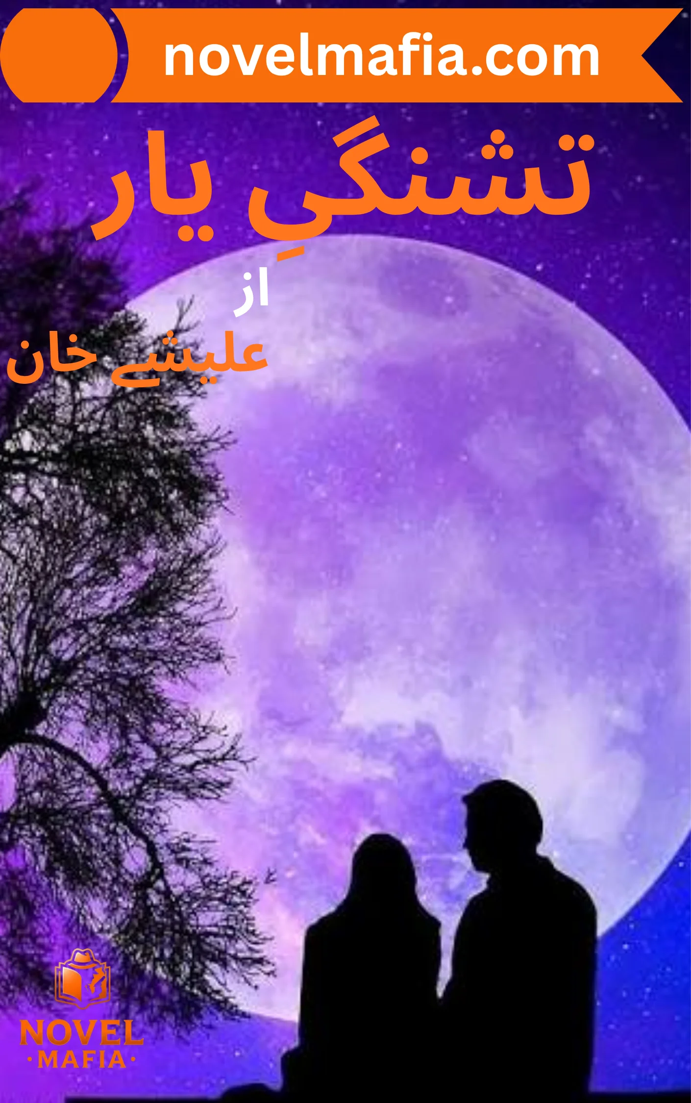 Tashnagi e Yaar Novel By Alishey Khan