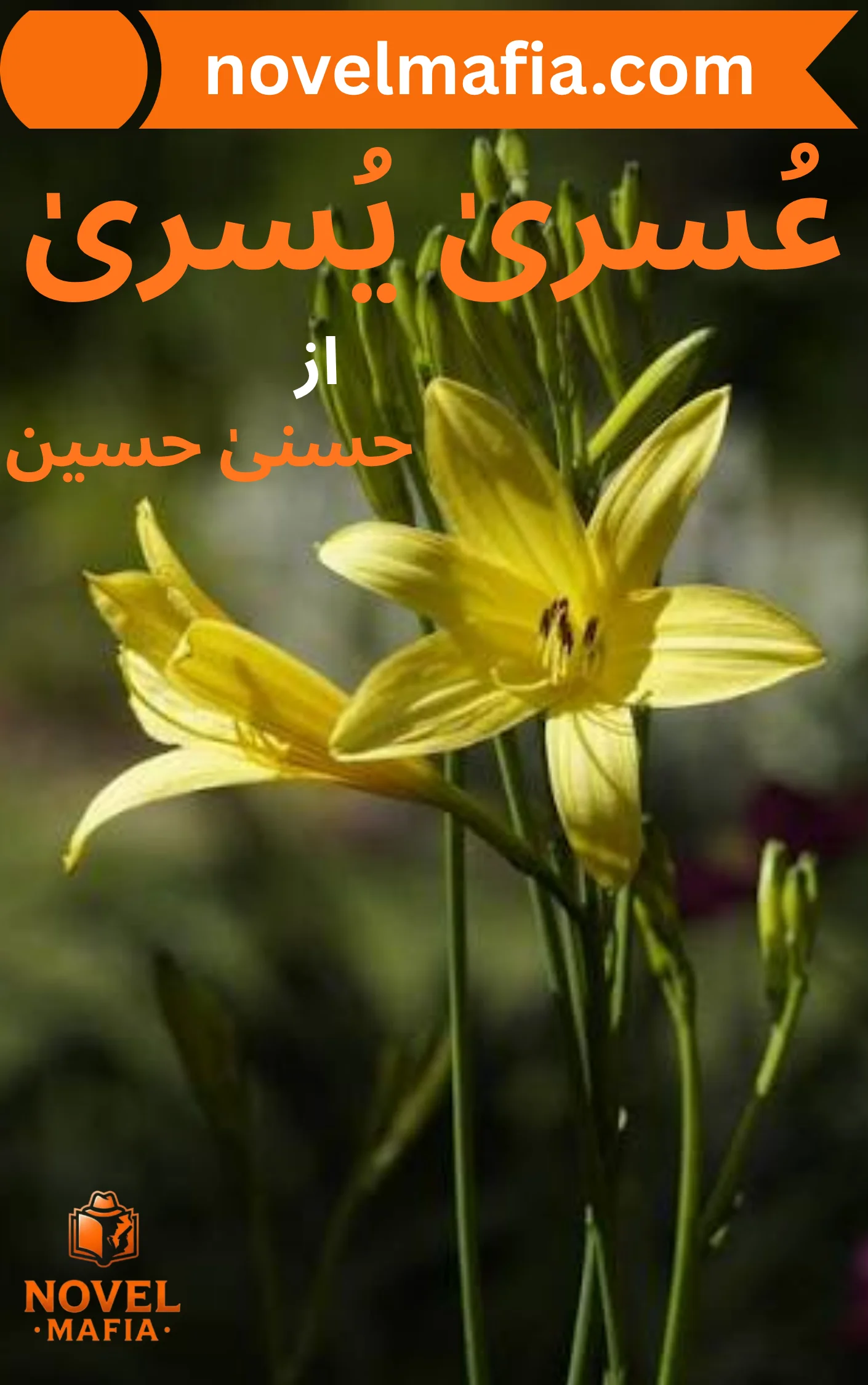 Usri Yusra Novel By Husna Hussain